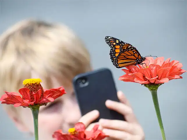 We've dug into some of the most common myths in consumer tech to debunk some of the biggest misconceptions out there. We've dug into some of the most common myths in consumer tech to debunk some of the biggest misconceptions out there.
