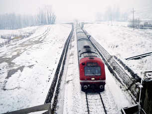 Fresh snowfall in Valley paints Srinagar white