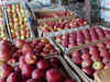 Famed Kashmir apples flourish in the warmth of Karnataka