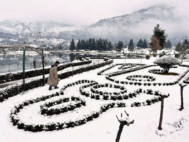 A man walks in a snow covered garden in Srinagar