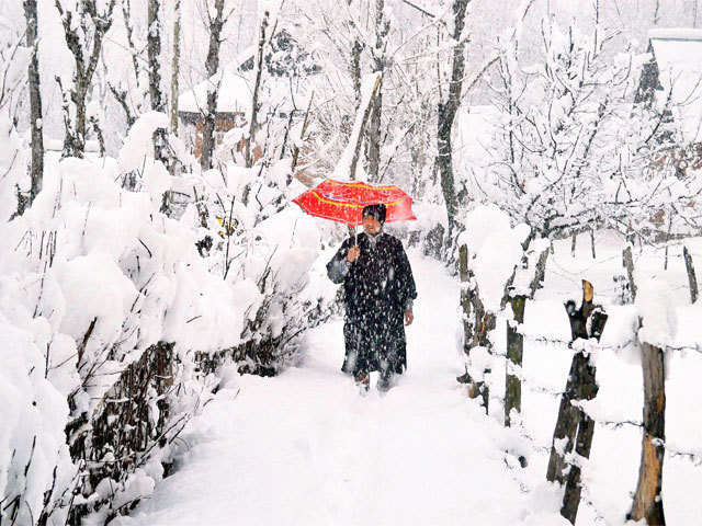 Snowfall in Kashmir Valley