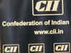 Maintain customs, excise, service tax rates in Budget 2015: CII
