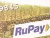 NPCI to come out with virtual form of RuPay debit card