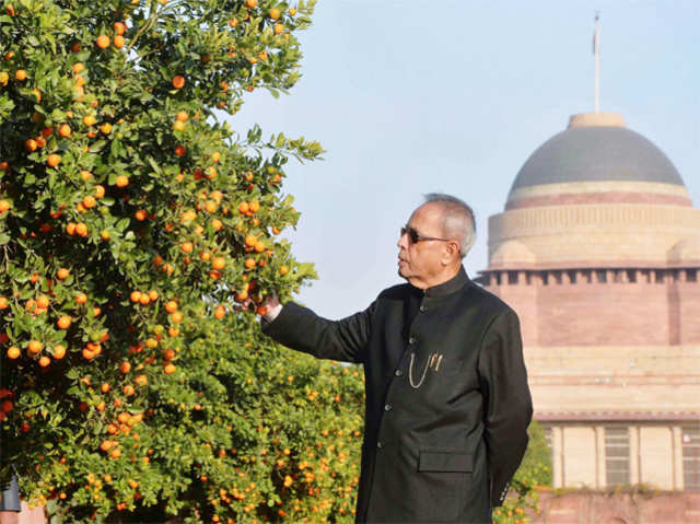 President Pranab Mukherjee looks at oranges