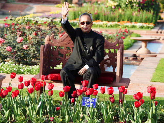 President Pranab Mukherjee sits near tulips