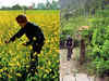 Camp near Mumbai's Shirota Lake or re-create your 'DDLJ' moment in the mustard farms of Punjab's Kila Raipur