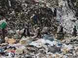 Government seeks ties with European nations on hazardous waste management