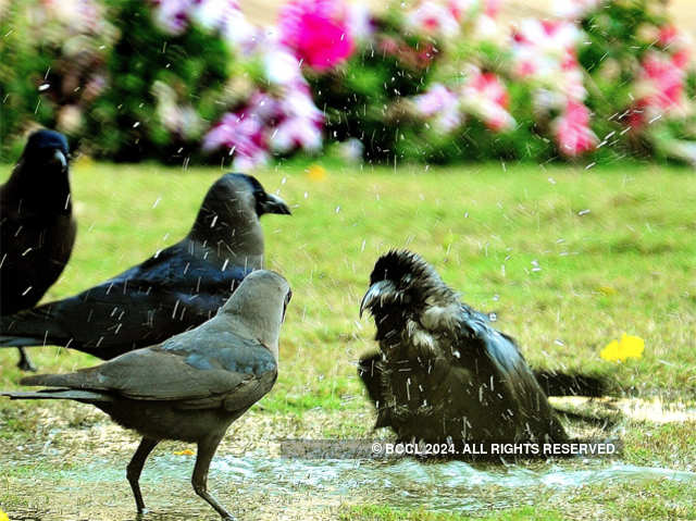 Heat is on in Mumbai