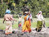 Tribal women labourers want employment to develop the protected territory