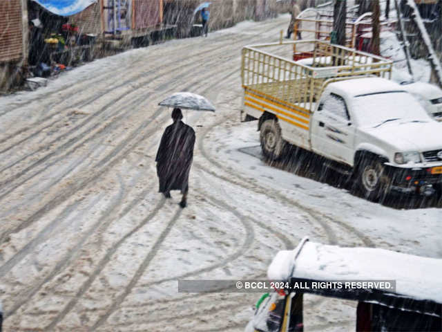 Srinagar received fresh snowfall