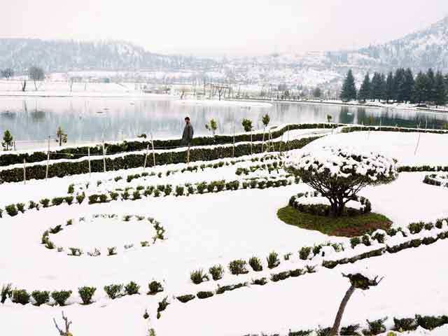 Snow-covered garden in Srinagar