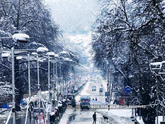 View of snow covered road