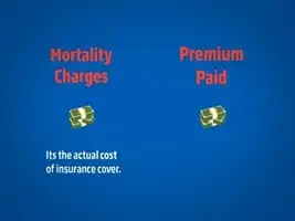 Know about Mortality Charges with HDFC Life - The Economic Times ...