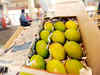 EU's move to lift ban on Indian mango imports may offer little relief