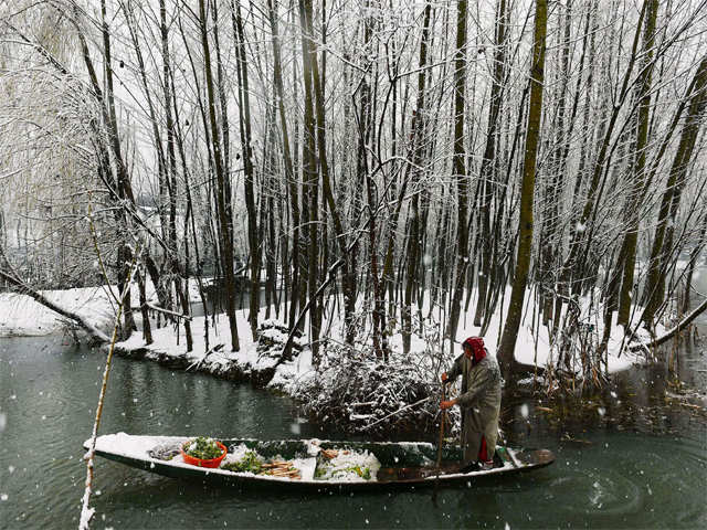 Kashmir valley experienced fresh snowfall