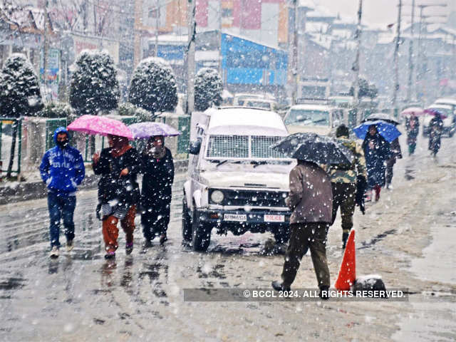 People walking during a fresh snowfall
