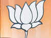 BJP-led alliance leads in Goa zilla panchayat polls