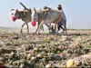 Congress leaders denounce 'anti-farmer' policies of Narendra Modi government