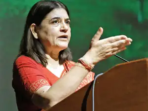 In a letter to her cabinet colleagues, Gandhi has requested them to switch over to 'Gaunyle' - cleaning liquid made from cow urine extracts, as it is "environment friendly". In a letter to her cabinet colleagues, Gandhi has requested them to switch over to 'Gaunyle' - cleaning liquid made from cow urine extracts, as it is "environment friendly".