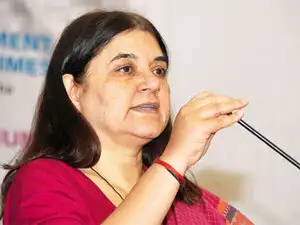 Gandhi has requested them to switch over to 'Gaunyle' - cleaning liquid made from cow urine extracts, arguing that it "environment-friendly". Gandhi has requested them to switch over to 'Gaunyle' - cleaning liquid made from cow urine extracts, arguing that it "environment-friendly".