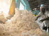 Cotton Corporation offloads 2.7 lakh bales of cotton