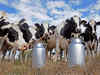 Small-holder dairying has increased rural prosperity: NDDB