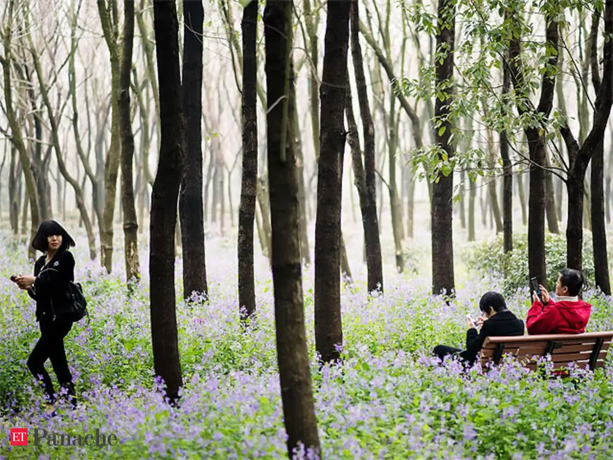 Caught red-handed? Take this quiz to