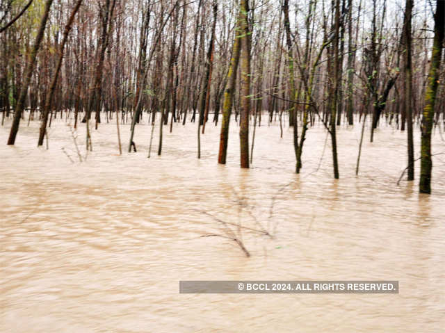 Pulwama district under water