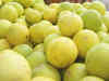 'Sacred' lemon fetches record Rs 23,000 in auction