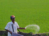 Govt plans to extend subsidy payments to Mangalore Chemicals and Fertilisers, 2 others