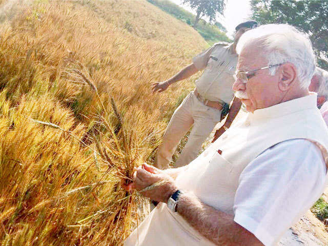 Haryana CM assessing damaged crops