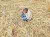 UP's Jalaun: State government's apathy turns Bundelkhand into a region of invisible farmer suicides