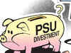 Government lines up 13 PSUs for stake sale in 2015-16