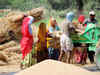 Centre eases wheat procurement rules for Haryana