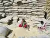Centre 'anti-farmer', not giving due support to UP government: Samajwadi Party