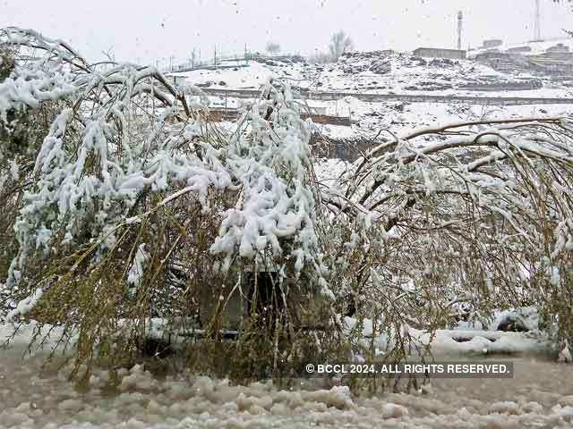 Fresh snowfall in Kargil