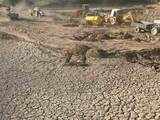 Parched banks of Sukhana Lake in Chandigarh