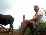 Delay in monsoon raises fear among farmers