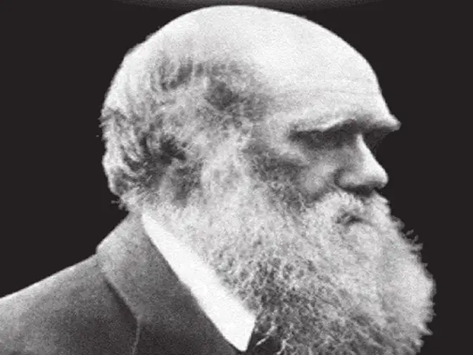 an analysis of the evolution theory proposed by charles darwin Charles darwin put forth a coherent theory of evolution and amassed a great body of evidence in support of this theory he proposed organic evolution as the explanation for the physical similarity among groups of organisms the core of darwin's theory is natural selection. an analysis of the evolution theory proposed by charles darwin Charles darwin put forth a coherent theory of evolution and amassed a great body of evidence in support of this theory he proposed organic evolution as the explanation for the physical similarity among groups of organisms the core of darwin's theory is natural selection.