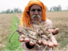 Centre says it has rained relief on farmers