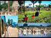 Enjoy a birding paradise in Little Rann Of Kutch, Gujarat or tour the tea estates & take a toy train ride in Coonoor, TN