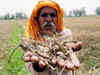 IFFCO to give Rs 10 crore for distressed farmers