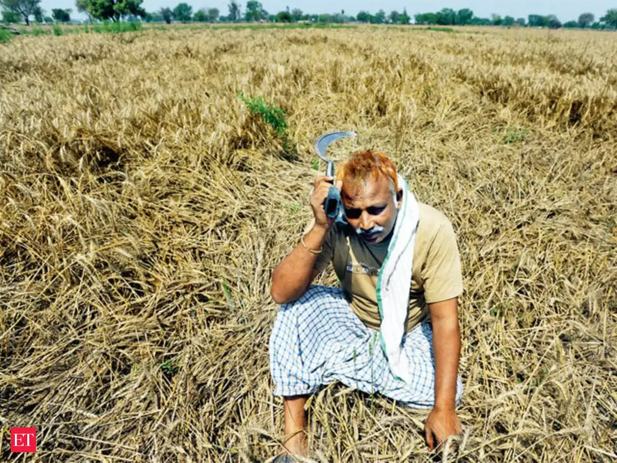 Why crop insurance schemes fail poor farmers when they are needed the most - The Economic Times