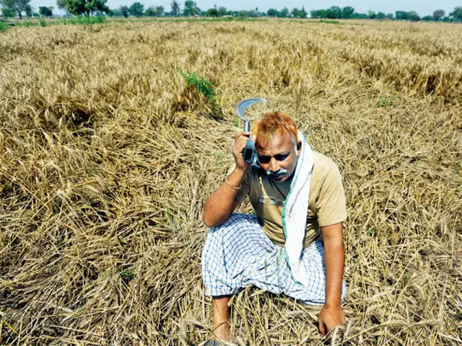Why crop insurance schemes fail poor farmers when they are needed the