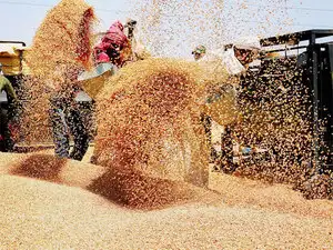 "As per our estimates, if banks have to meet the 7 per cent target by March 2016, an amount of Rs 85,000 cr needs to go to the small and marginal farmers." "As per our estimates, if banks have to meet the 7 per cent target by March 2016, an amount of Rs 85,000 cr needs to go to the small and marginal farmers."
