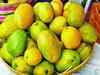 'Mango production may drop by 5-10% this year on untimely rains'