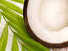 Coconut oil prices slump to a 2-year low