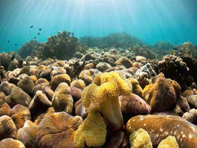 Mergui Archipelago, Myanmar