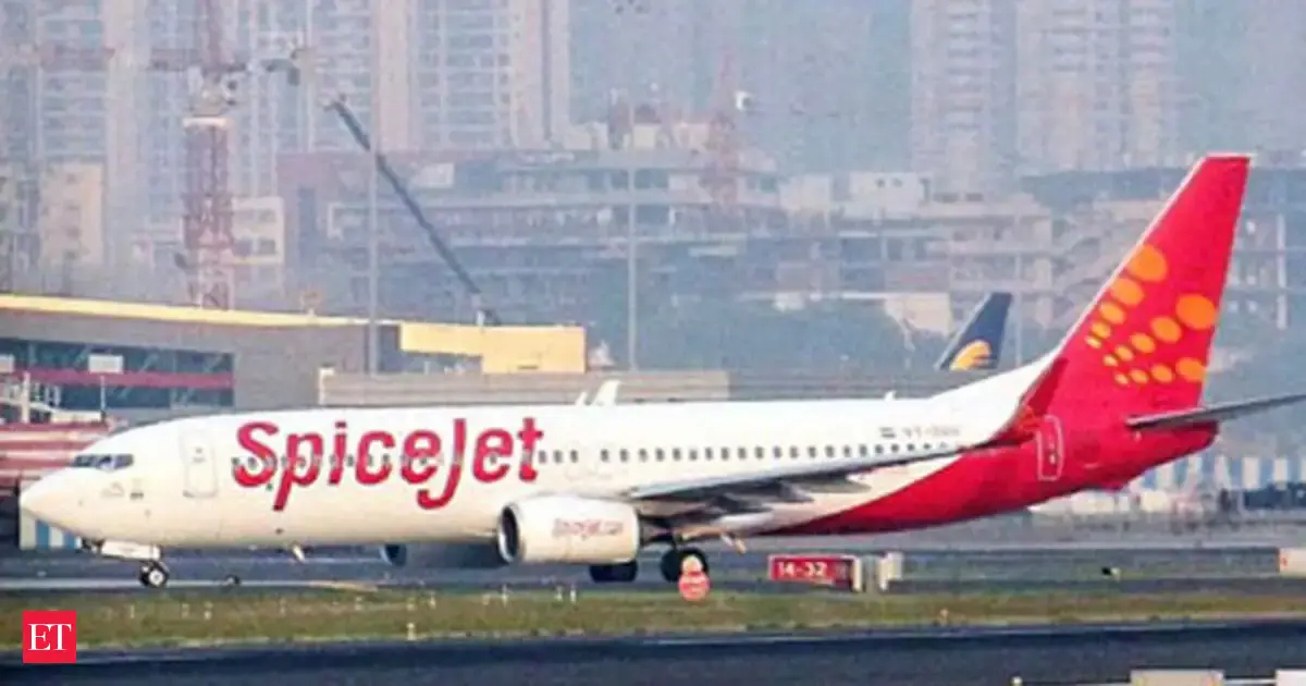 SpiceJet introduces 4 new services for travellers - The Economic Times