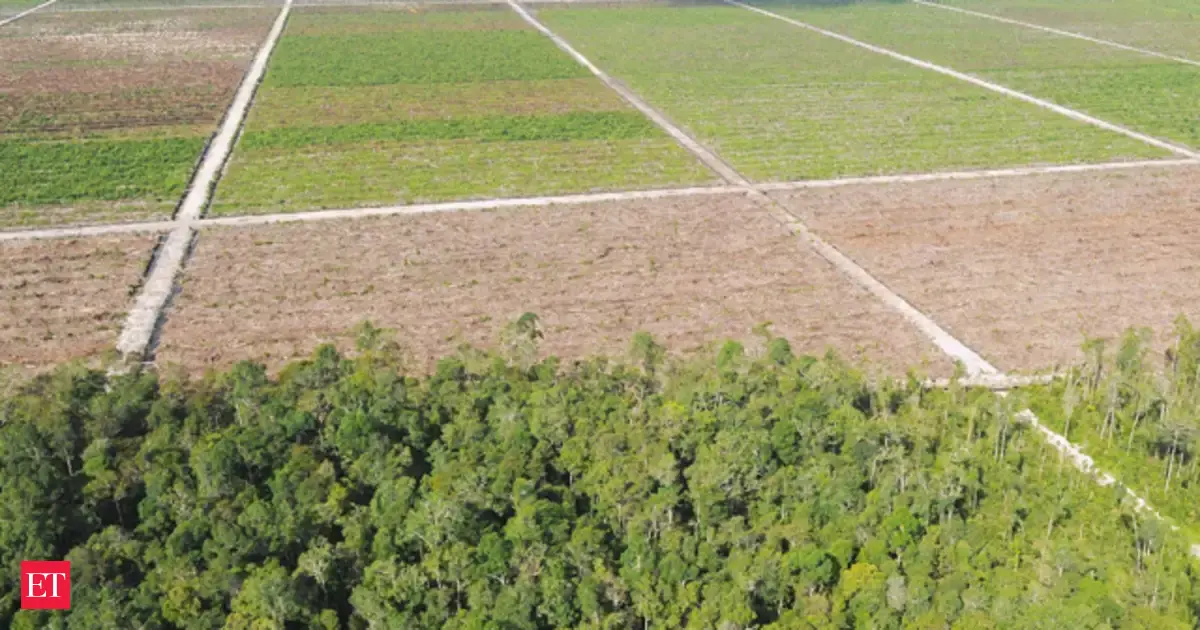 Maharashtra begins digitisation of land records under National Land ...